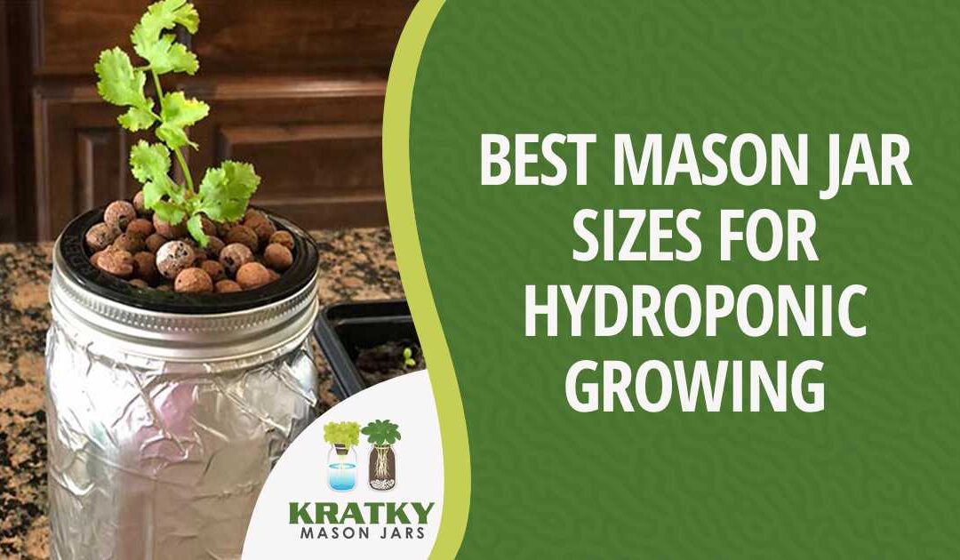Best Mason Jar Sizes for Hydroponic Growing