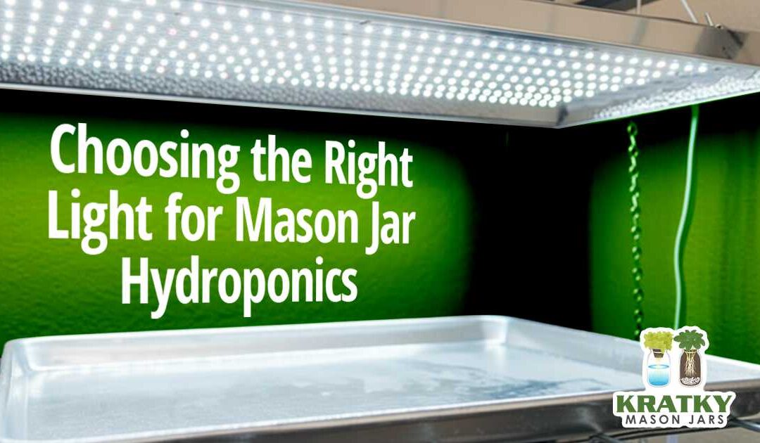 Choosing the Right Light for Mason Jar Hydroponics