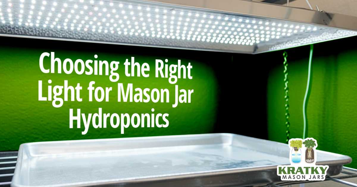 Choosing the Right Light for Mason Jar Hydroponics Image of a jar, featuring Kratky Mason Jars and highlighting the importance of choosing the right light for mason jar hydroponics.