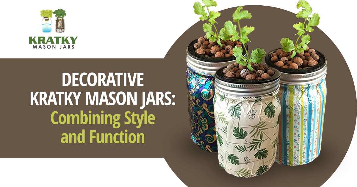 Image of a plant growing in a jar, featuring Kratky Mason Jars and highlighting decorative Kratky Mason jars that combine style and function.