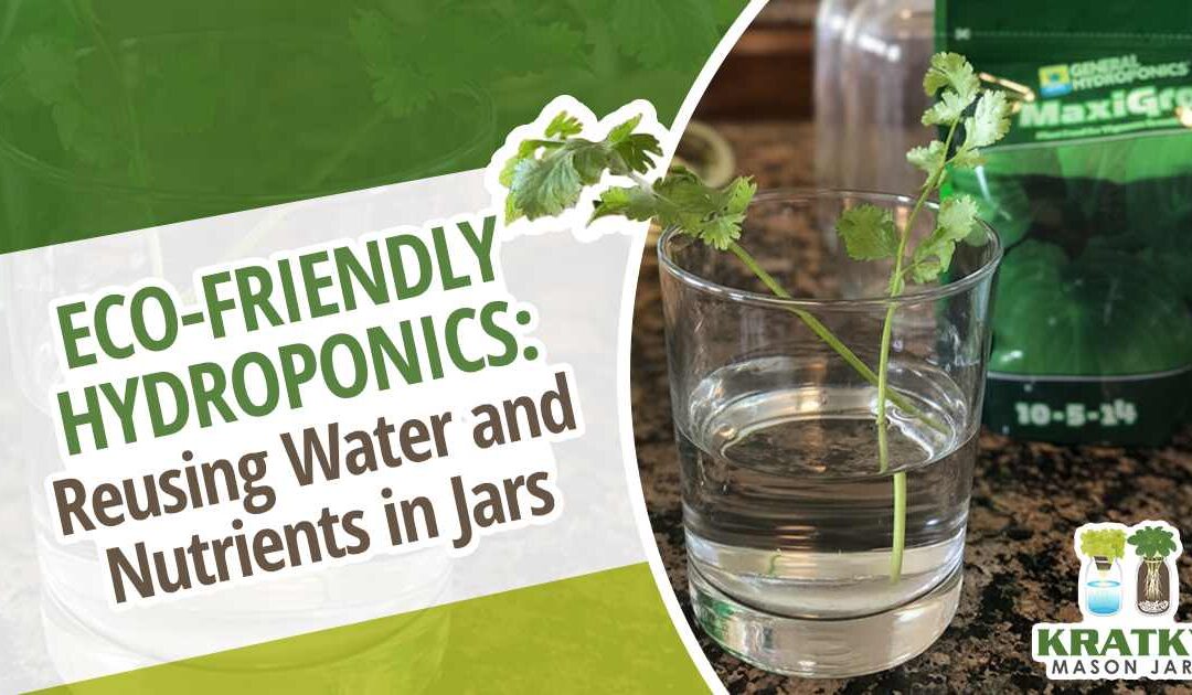 Eco-Friendly Hydroponics: Reusing Water and Nutrients in Jars