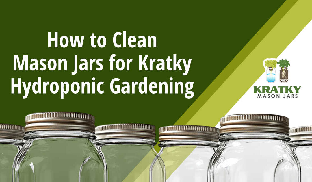 How to Clean Mason Jars for Kratky Hydroponic Gardening