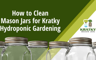 How to Clean Mason Jars for Kratky Hydroponic Gardening