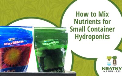 How to Mix Nutrients for Small Container Hydroponics