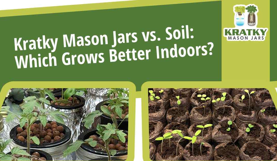 Kratky Mason Jars vs. Soil: Which Grows Better Indoors?