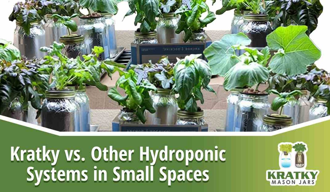 Kratky vs. Other Hydroponic Systems in Small Spaces