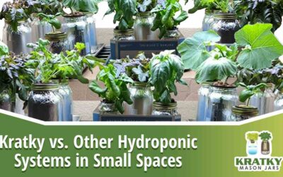 Kratky vs. Other Hydroponic Systems in Small Spaces