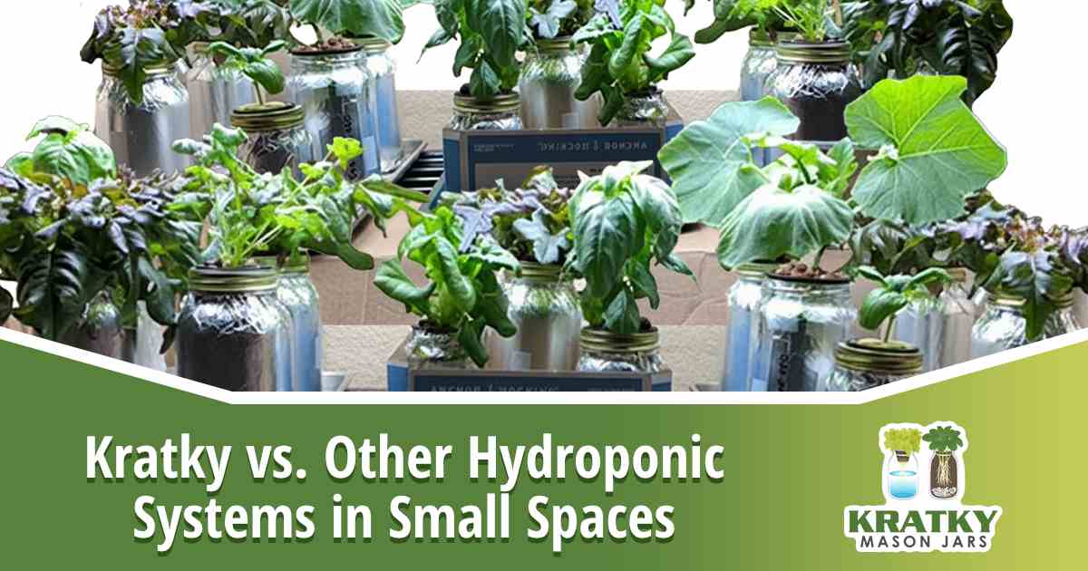 Image of plants grown in jars, featuring Kratky Mason Jars and highlighting the comparison of Kratky vs. other hydroponic systems in small spaces.