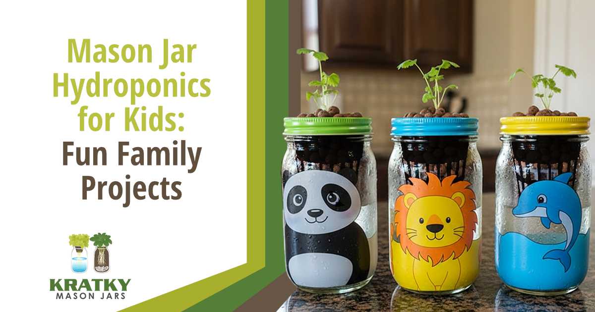 Image of plants growing in jars, featuring Kratky Mason Jars and highlighting mason jar hydroponics as a fun family project for kids..