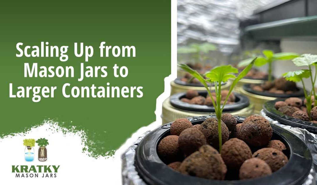 Scaling Up from Mason Jars to Larger Containers