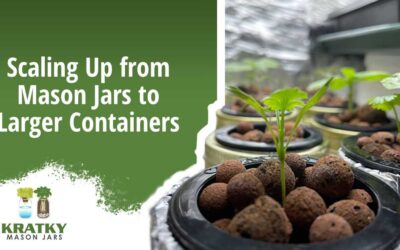 Scaling Up from Mason Jars to Larger Containers