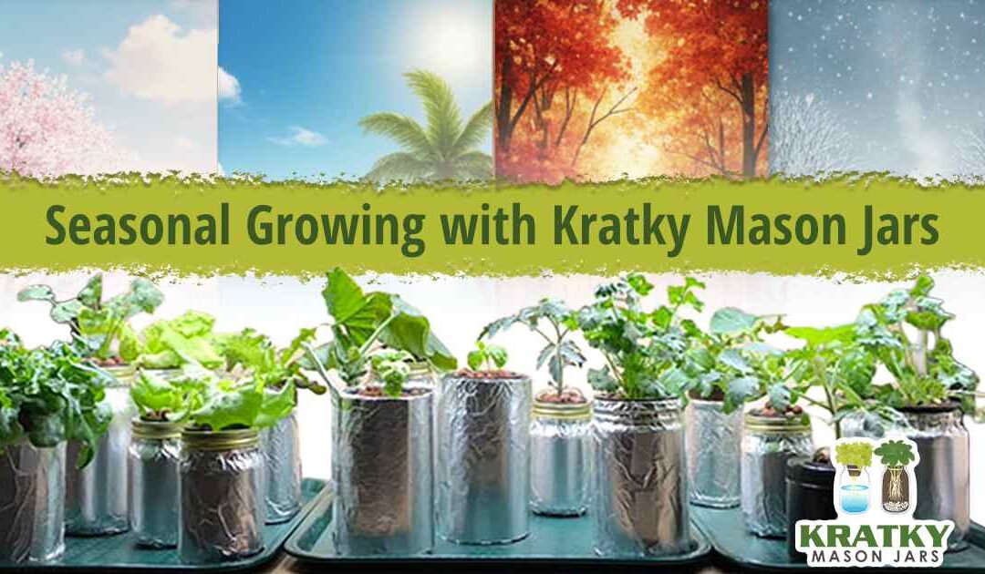 Seasonal Growing with Kratky Mason Jars