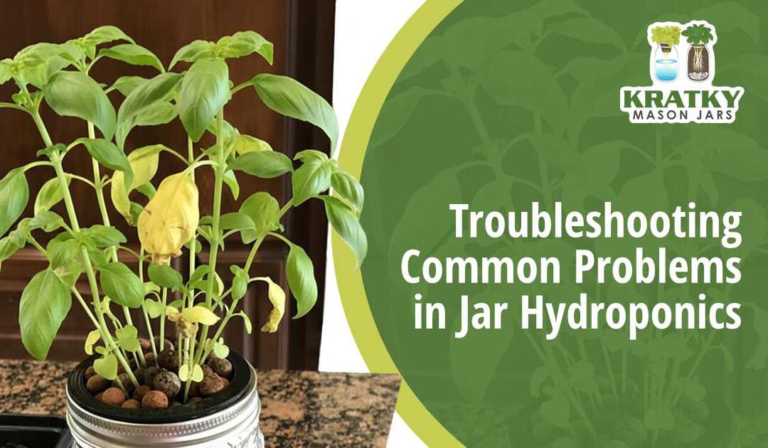 Troubleshooting Common Problems in Jar Hydroponics