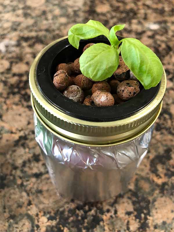 Hydroponics Mason Jar Kits can get you started quickly in your garden.