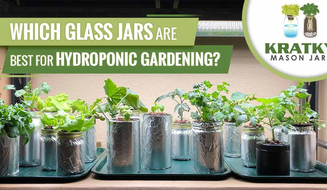 Which Glass Jars Are Best for Hydroponic Gardening?