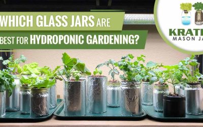 Which Glass Jars Are Best for Hydroponic Gardening?